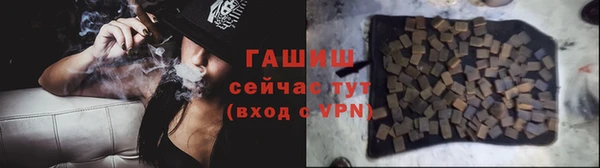 СК Алексин
