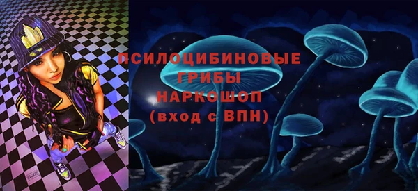 СК Алексин