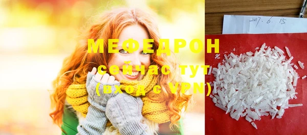 СК Алексин