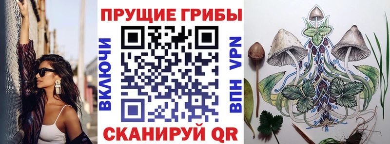 Галлюциногенные грибы Cubensis  Пугачёв 